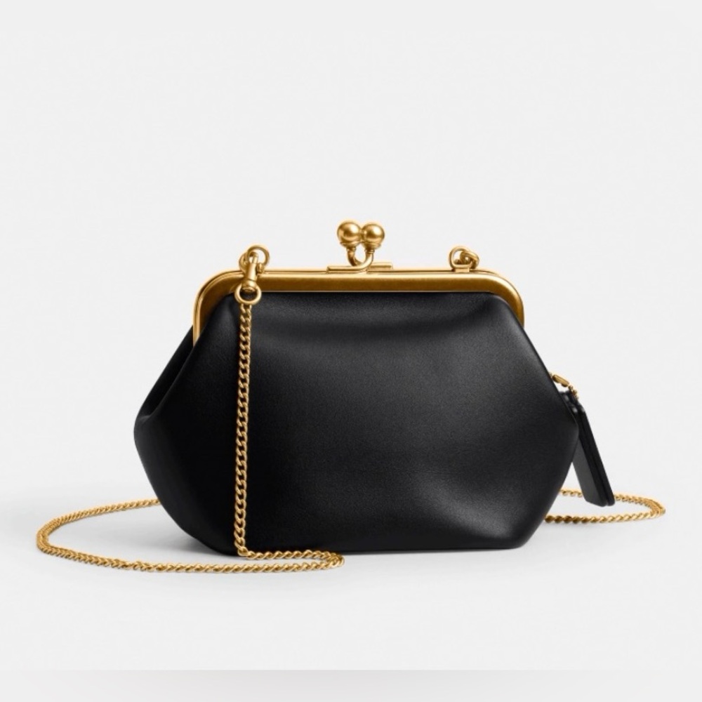 Coach Kisslock Frame Bag 14 (NWT)